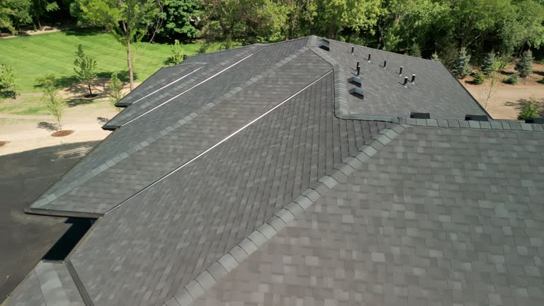 Best Solar Panel Roofing Installation  in Schaumburg, IL