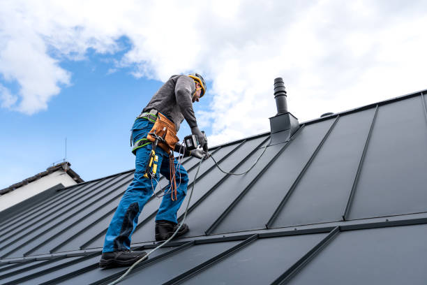 Best Roof Moss and Algae Removal  in Schaumburg, IL